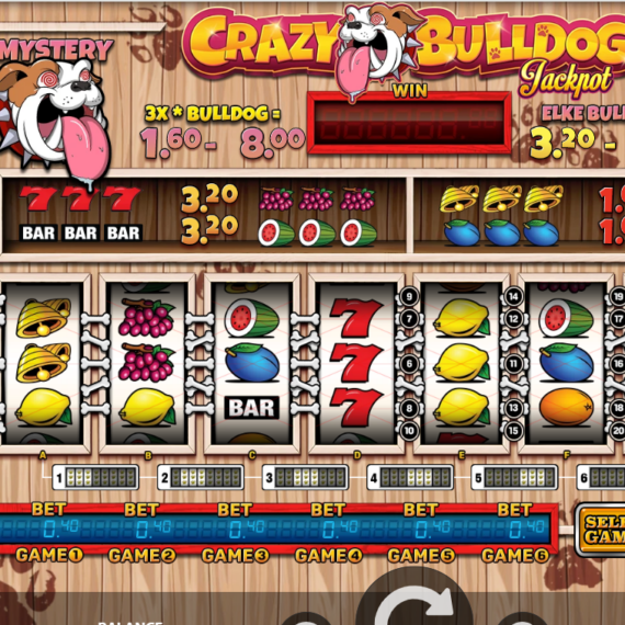 Crazy Bulldog Slot by StakeLogic